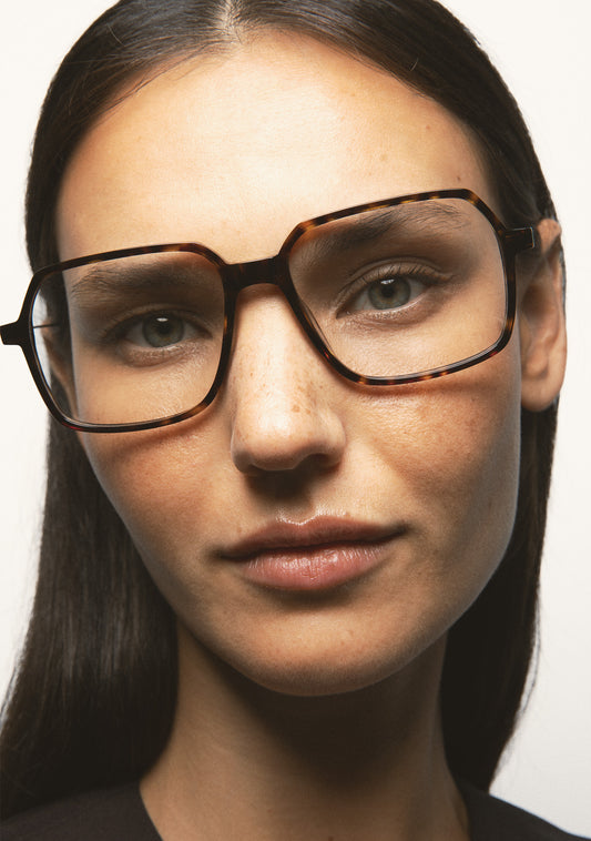 Kaleos Appleyard L Color 2