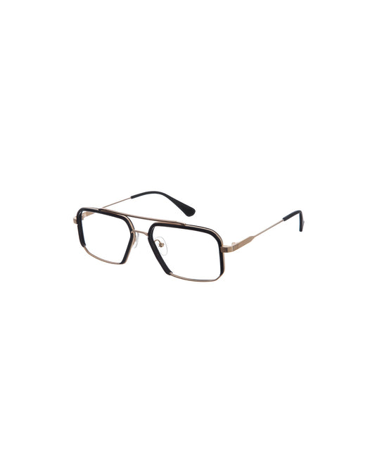 GIGISTUDIOS 6519 1 NEWTON