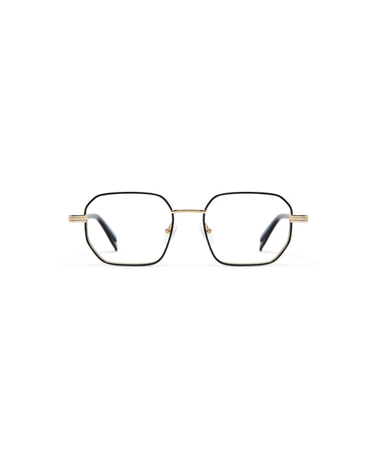 GIGISTUDIOS 6904 1 NEWTON