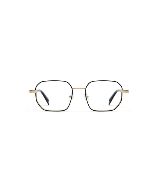GIGISTUDIOS 6904 1 NEWTON