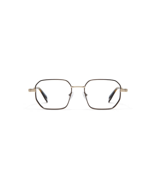 GIGISTUDIOS 6904 2 NEWTON