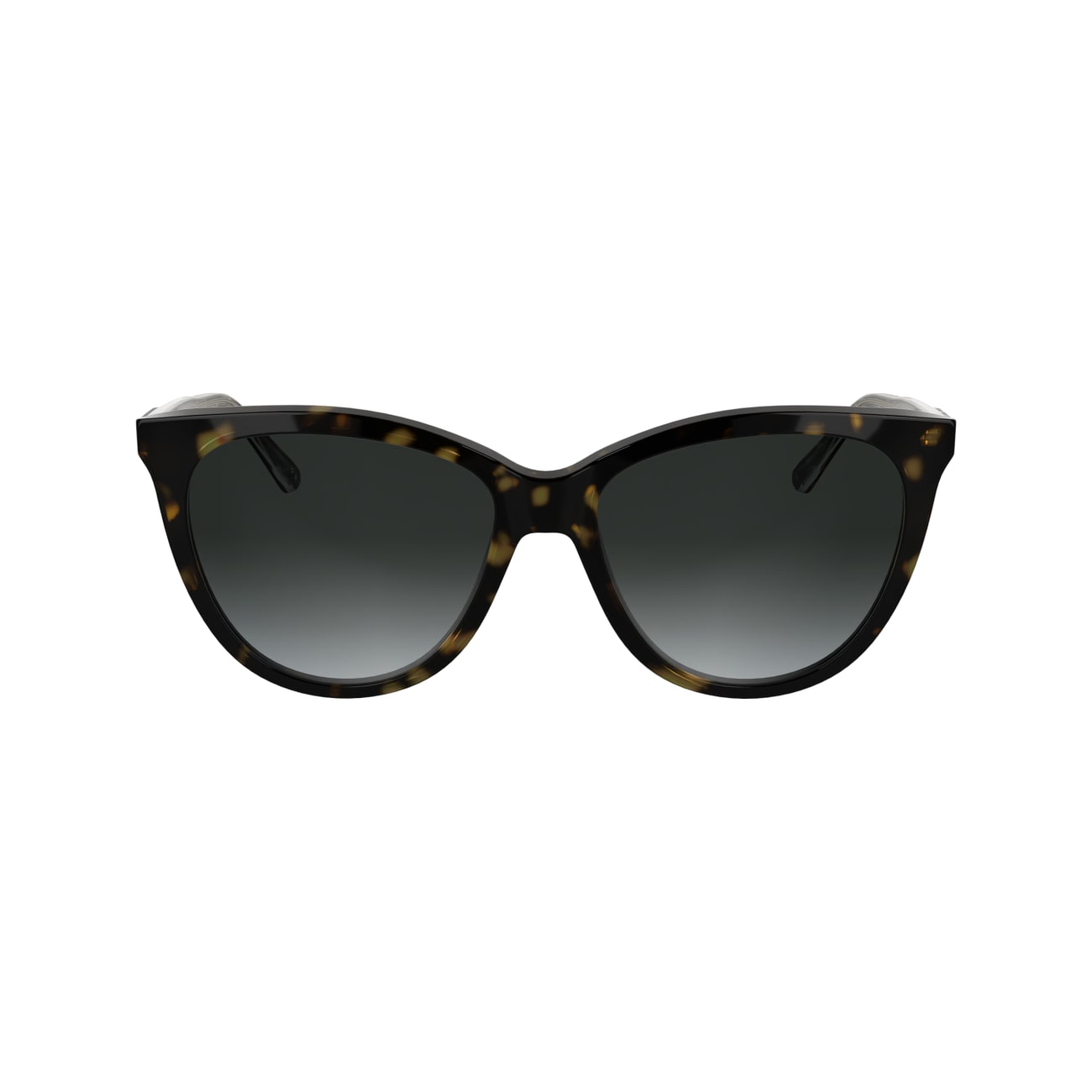 CALVIN KLEIN CK25508S 240