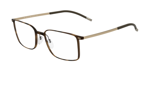 Silhouette 2884 6055