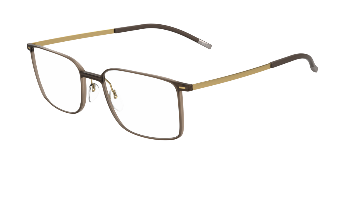Silhouette 2884 6111