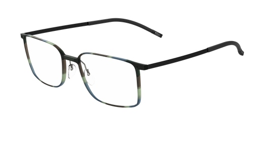 Silhouette 2884 6113