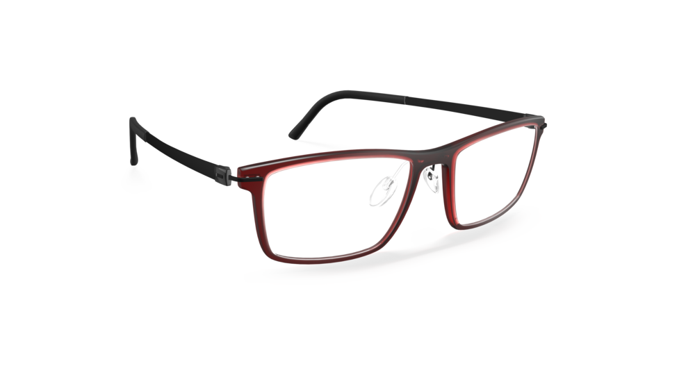 Silhouette 2939 3040