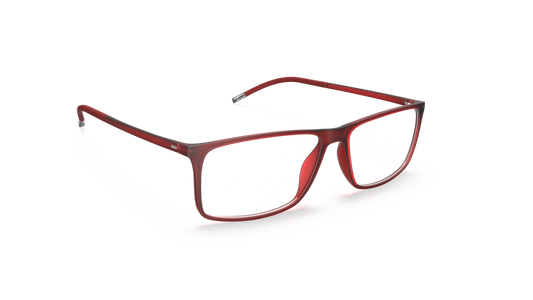 Silhouette 2941 3110