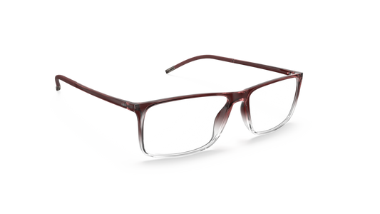 Silhouette 2941 3210
