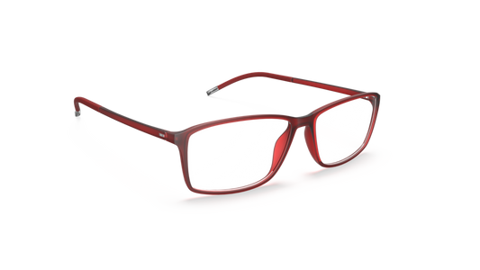 Silhouette 2942 3110
