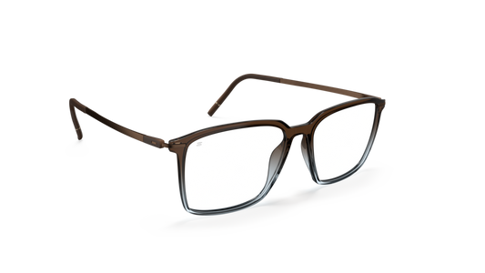 Silhouette 2991 6140