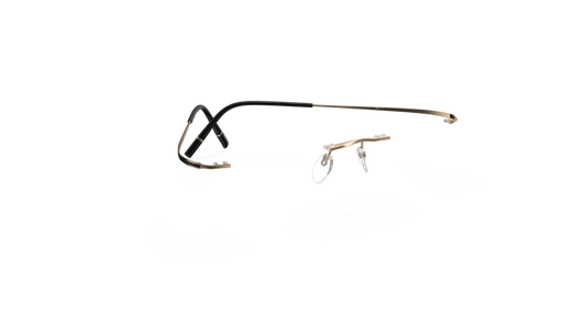 Silhouette 5599-LC 7830