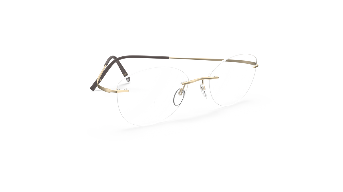 Silhouette 5599-LC 8540