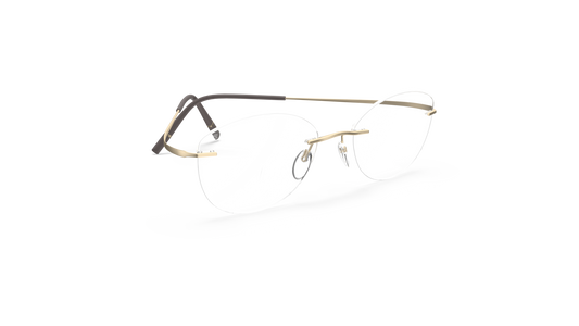 Silhouette 5599-LC 8540