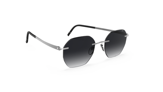 Silhouette 8748 7001