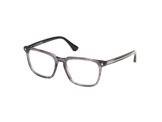 Web WE5430 20