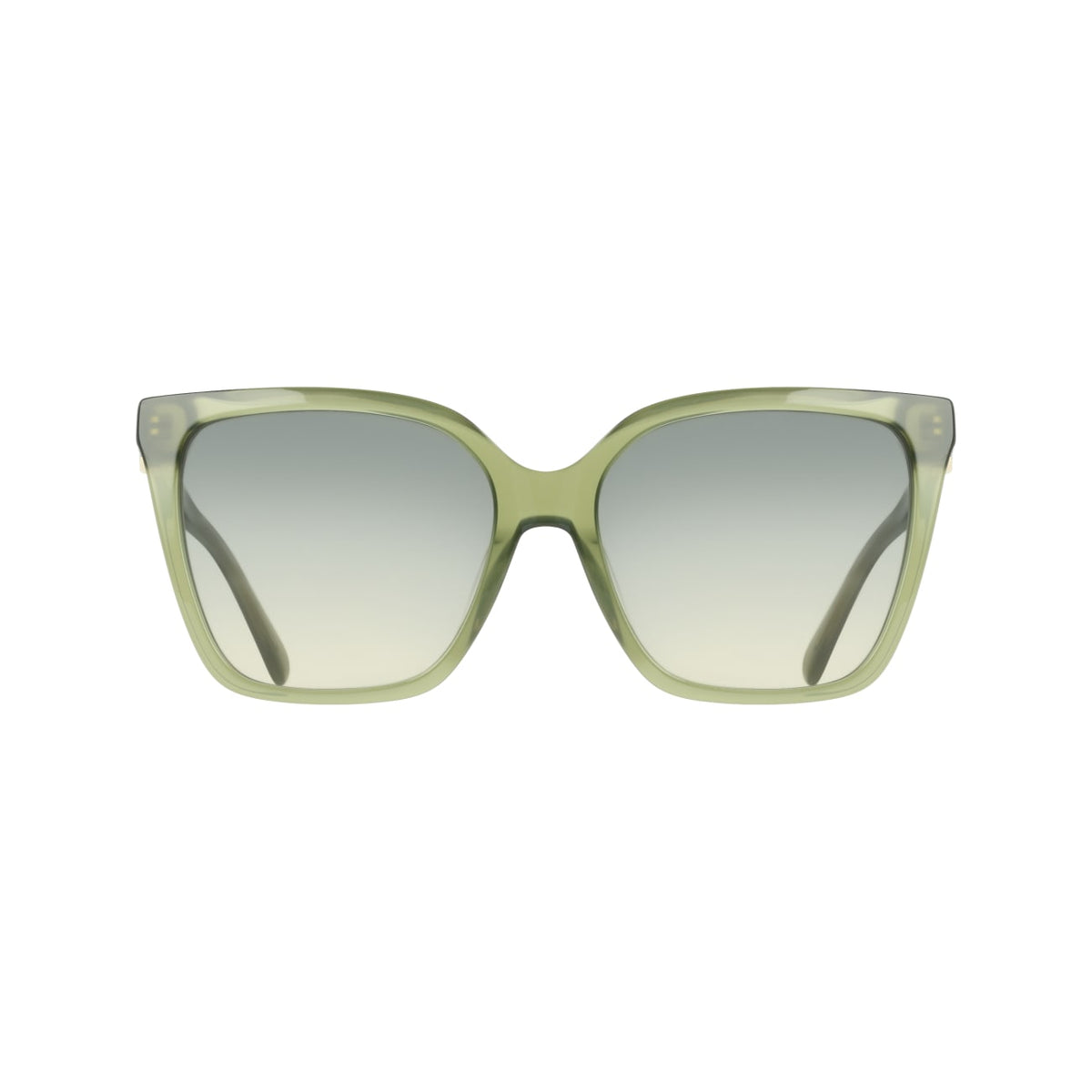 SALVATORE FERRAGAMO SF2121S 333