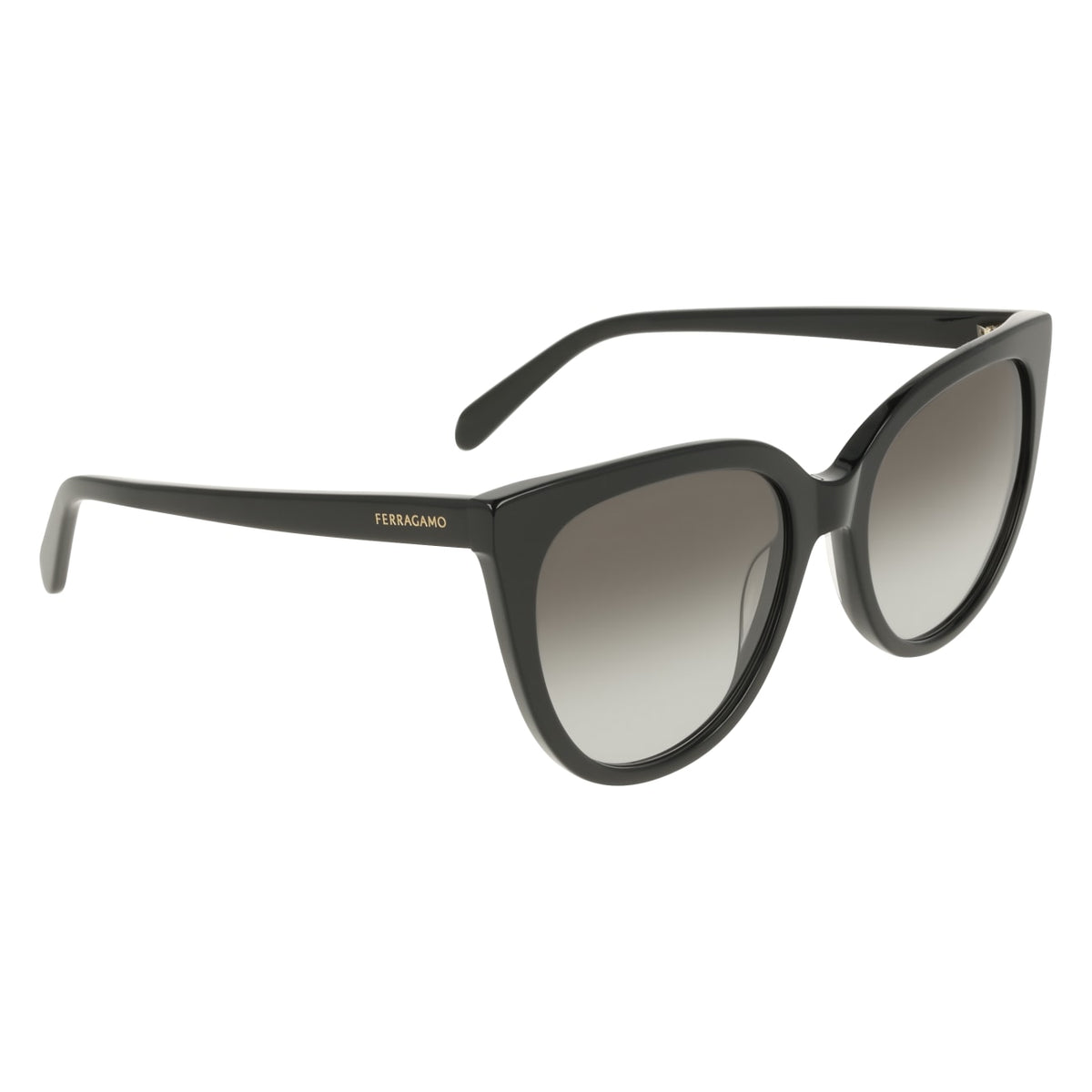 SALVATORE FERRAGAMO SF2101S 1