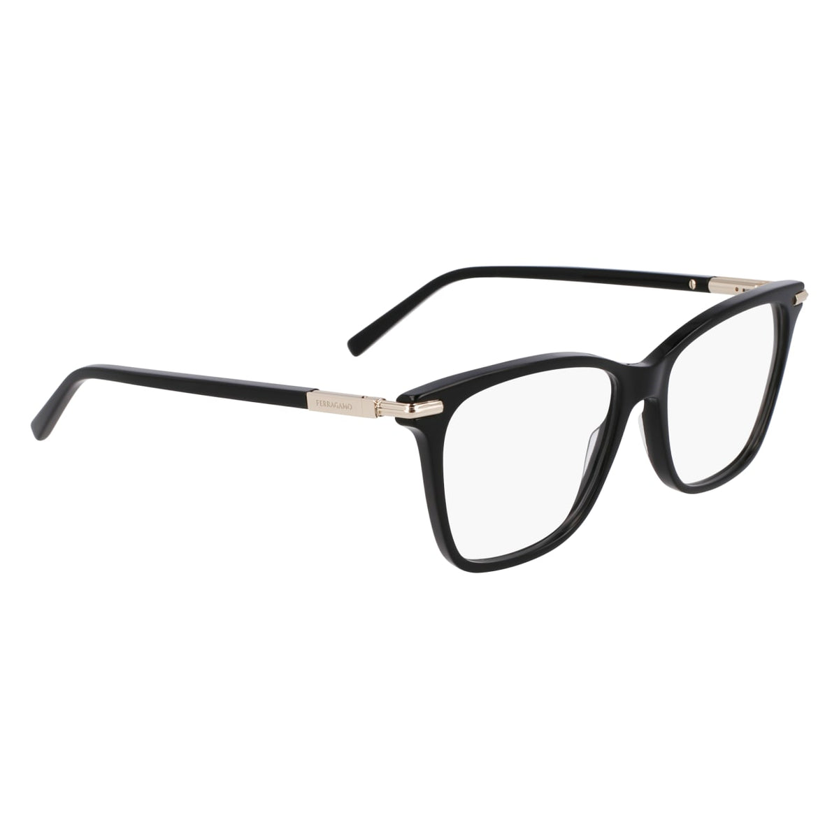 SALVATORE FERRAGAMO SF3013 1