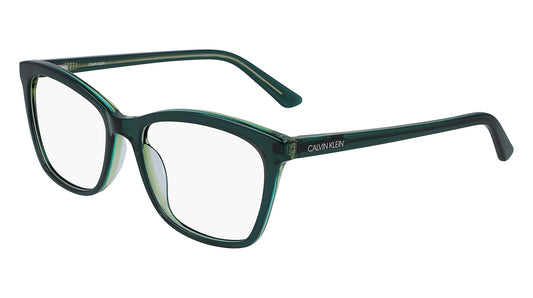 CALVIN KLEIN 41858 361 CK19529