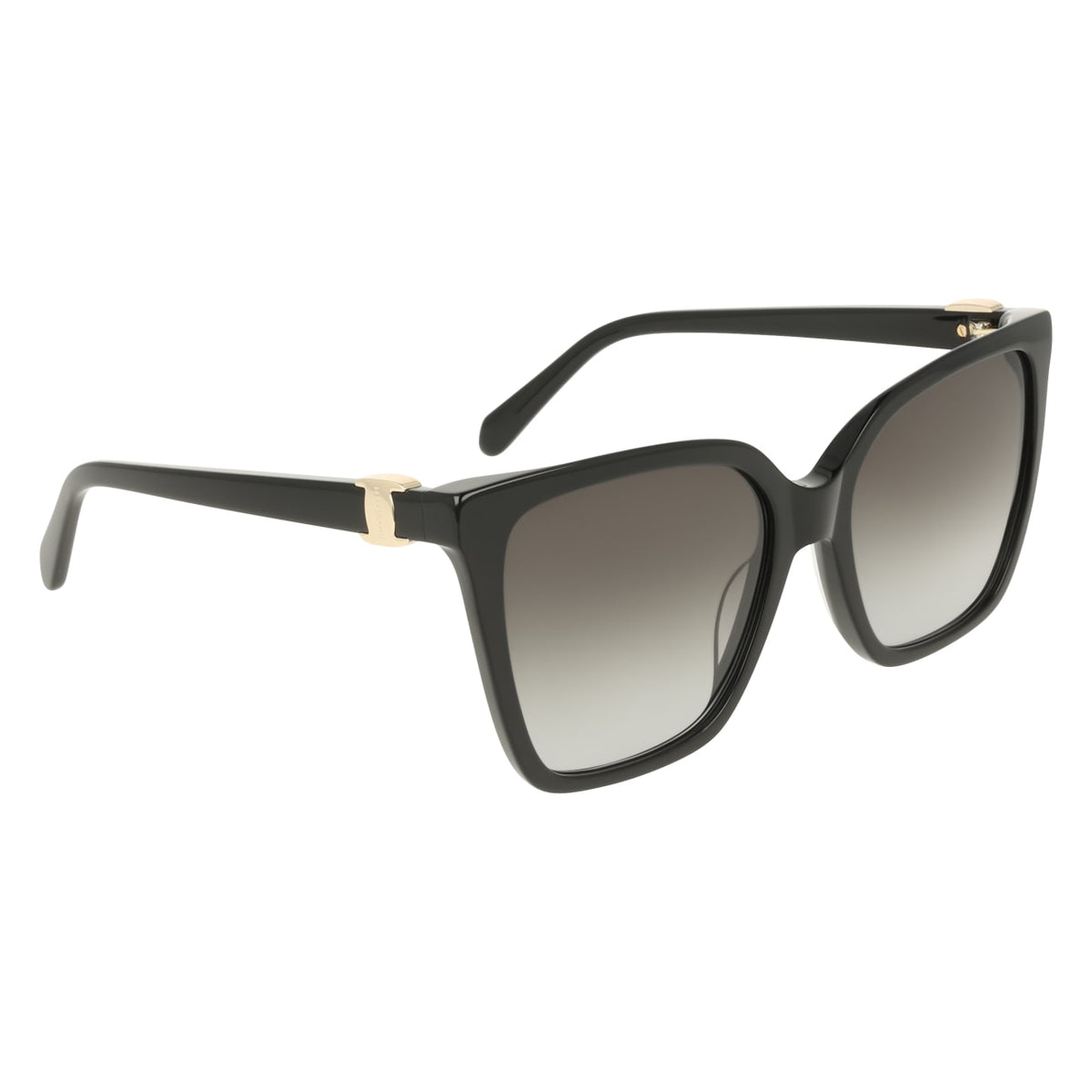 SALVATORE FERRAGAMO SF2121S 1