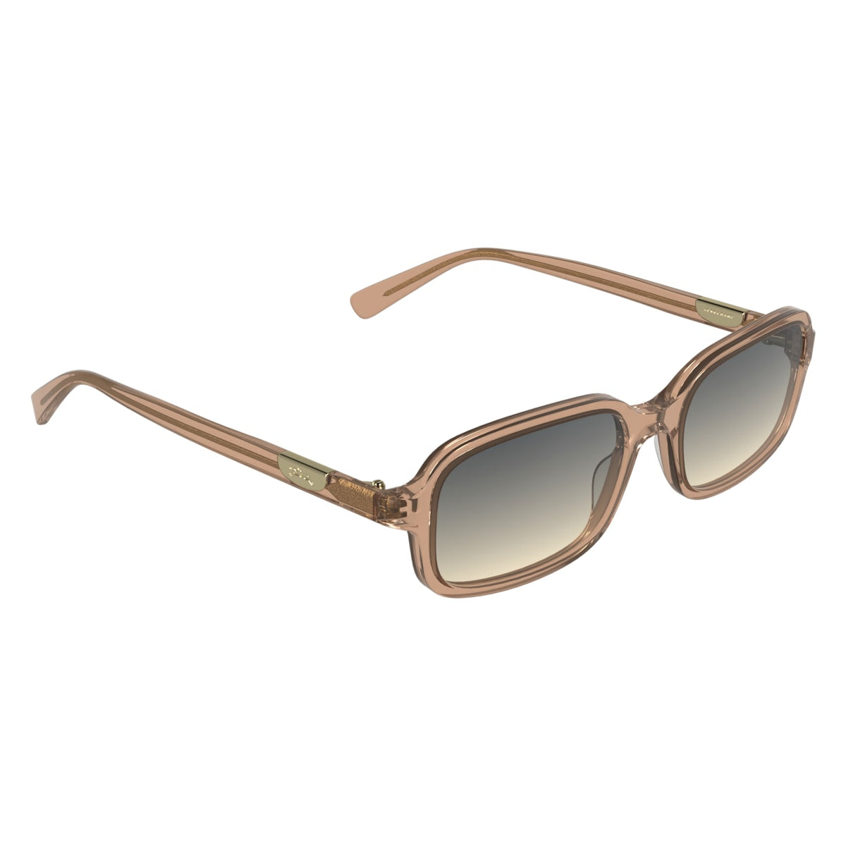 Longchamp LO818S 200
