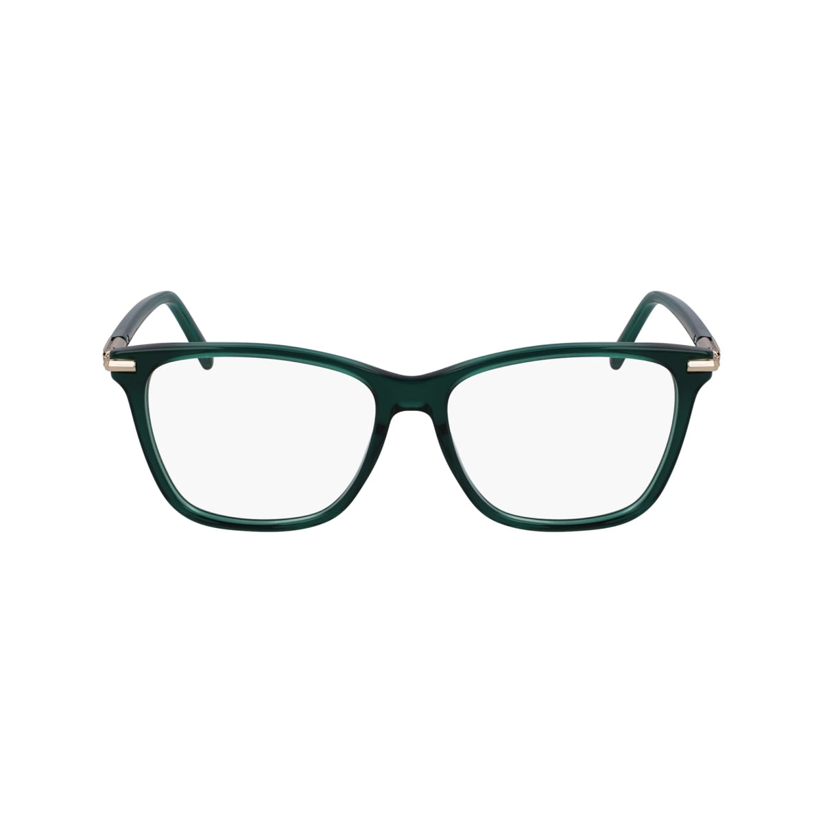 SALVATORE FERRAGAMO SF3013 317