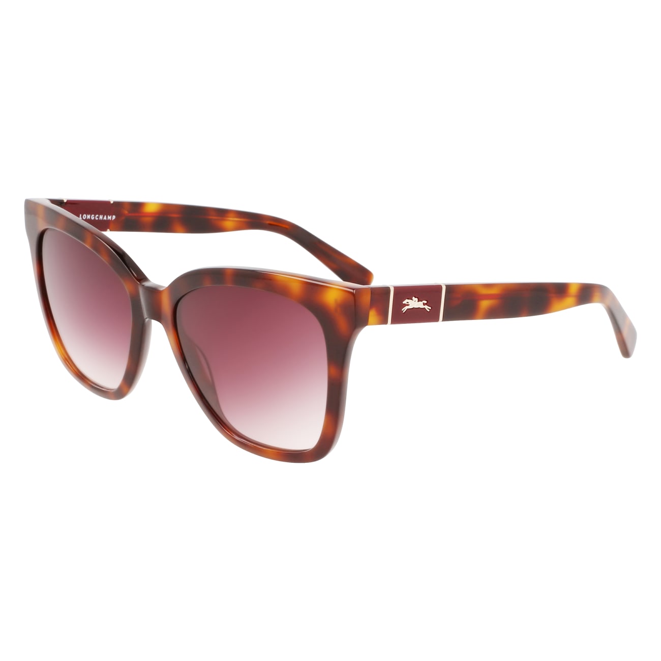LONGCHAMP 59348 230 LO696S