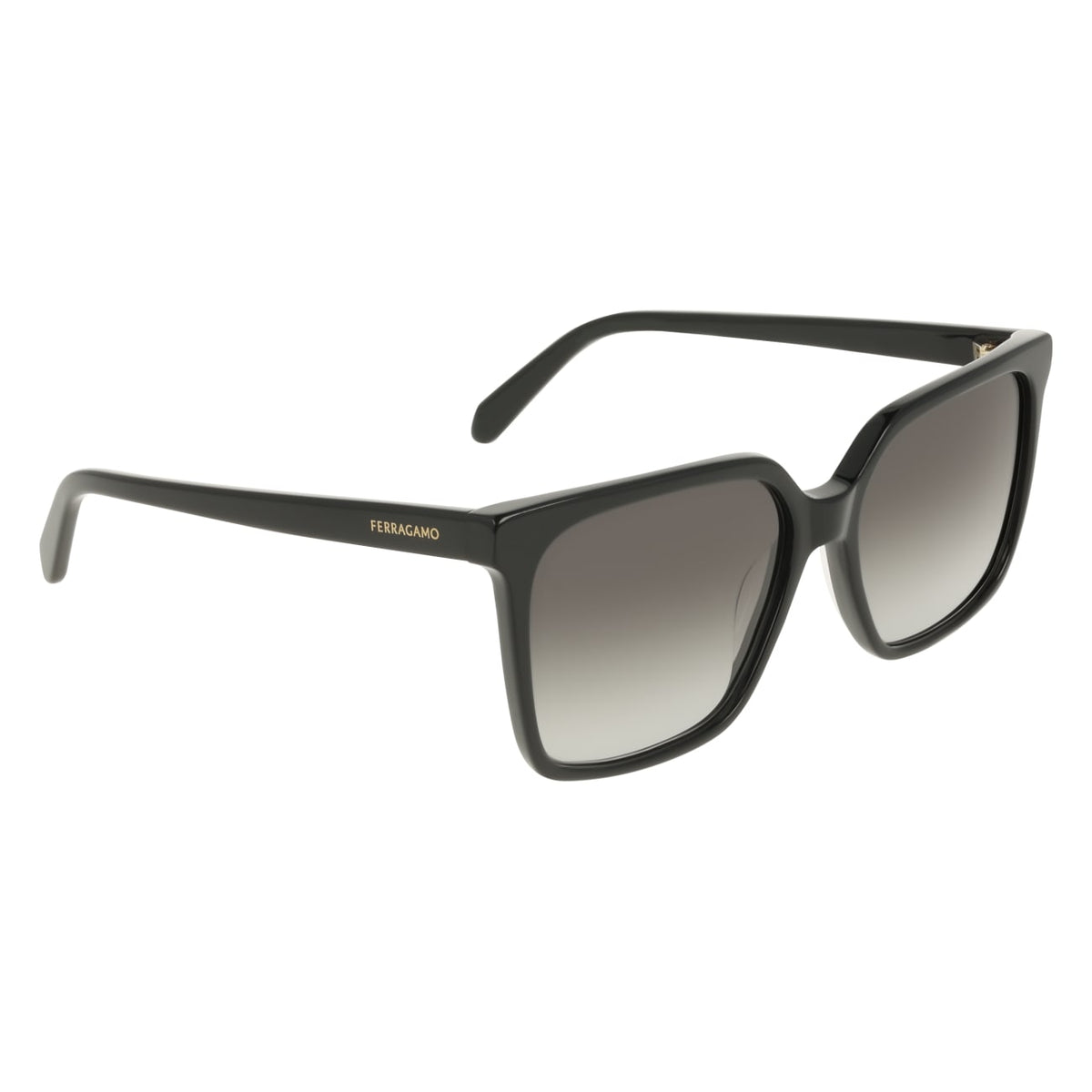 SALVATORE FERRAGAMO SF2102S 1