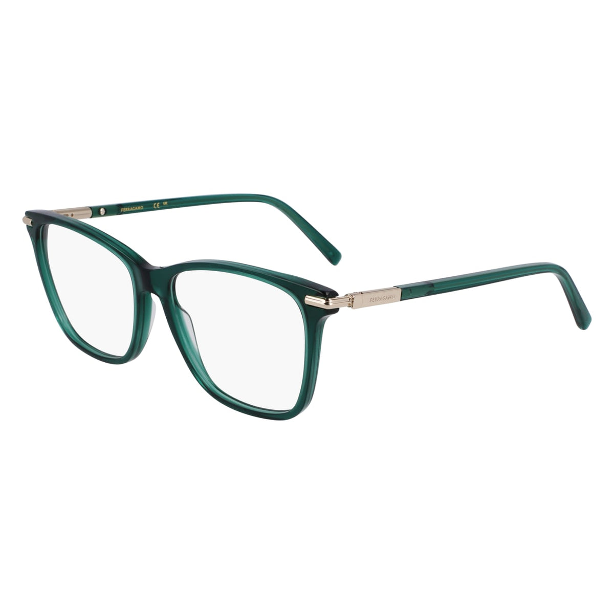 SALVATORE FERRAGAMO SF3013 317