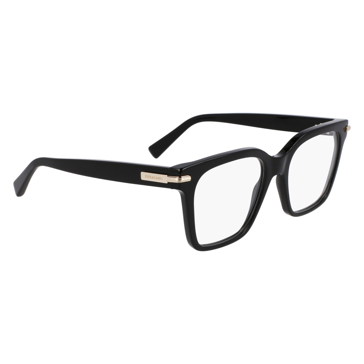 SALVATORE FERRAGAMO SF3009 1