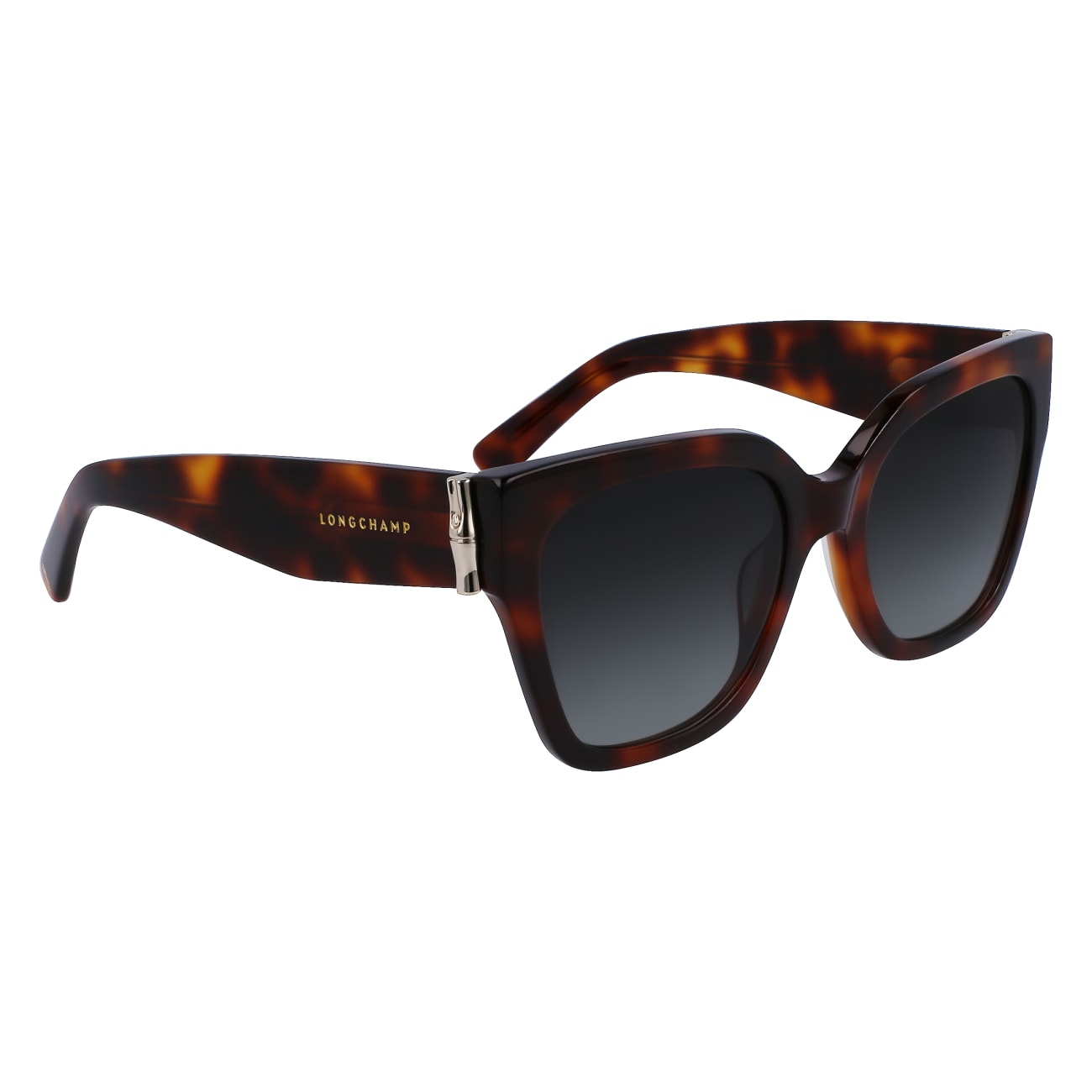 LONGCHAMP