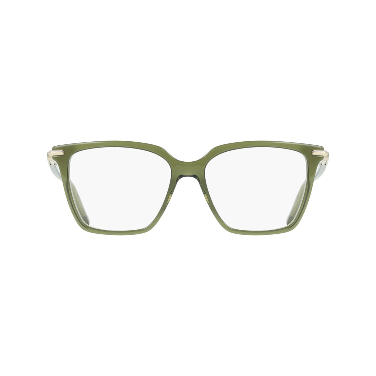 SALVATORE FERRAGAMO SF3038 317
