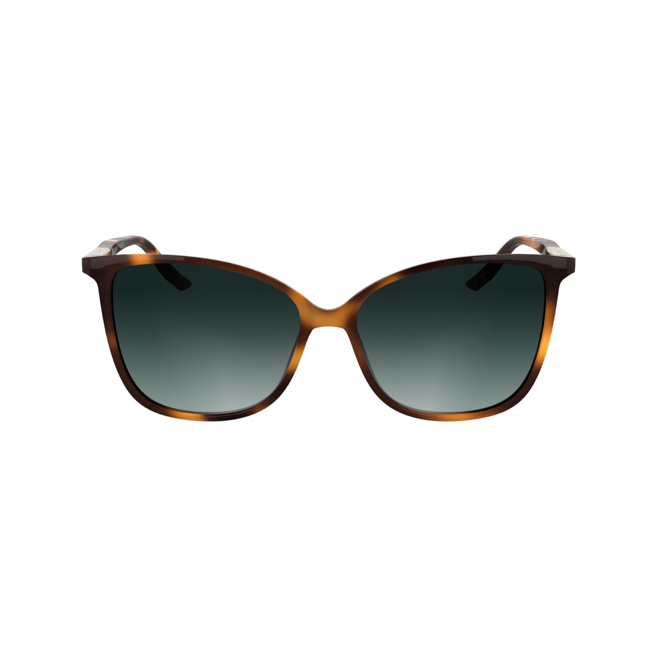 CALVIN KLEIN CK25504S 240