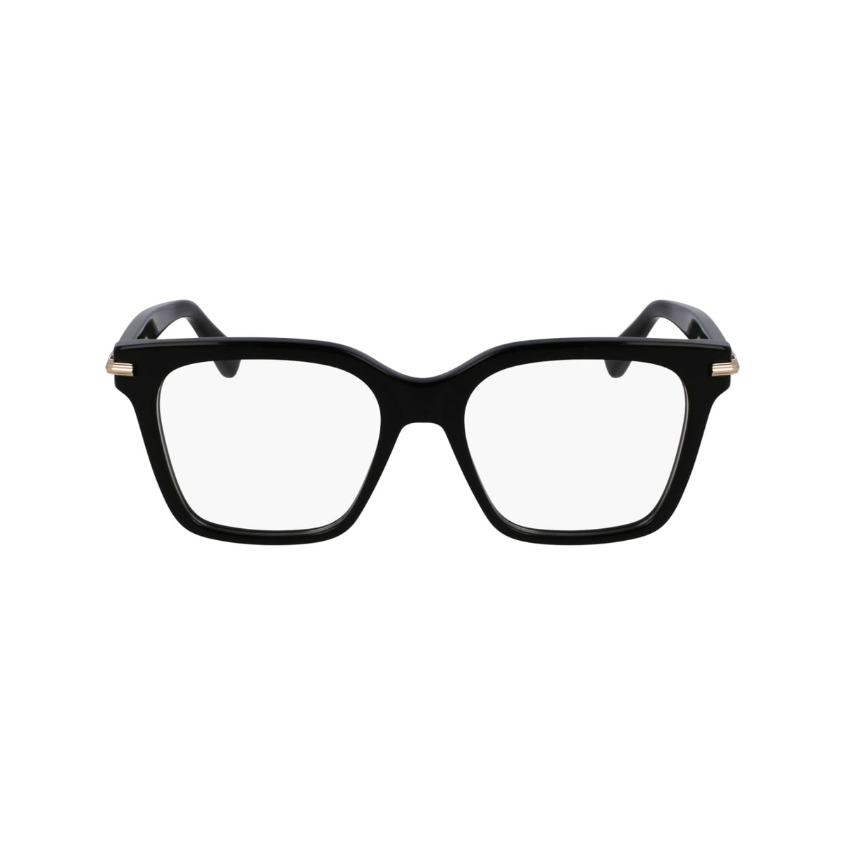 SALVATORE FERRAGAMO SF3009 1