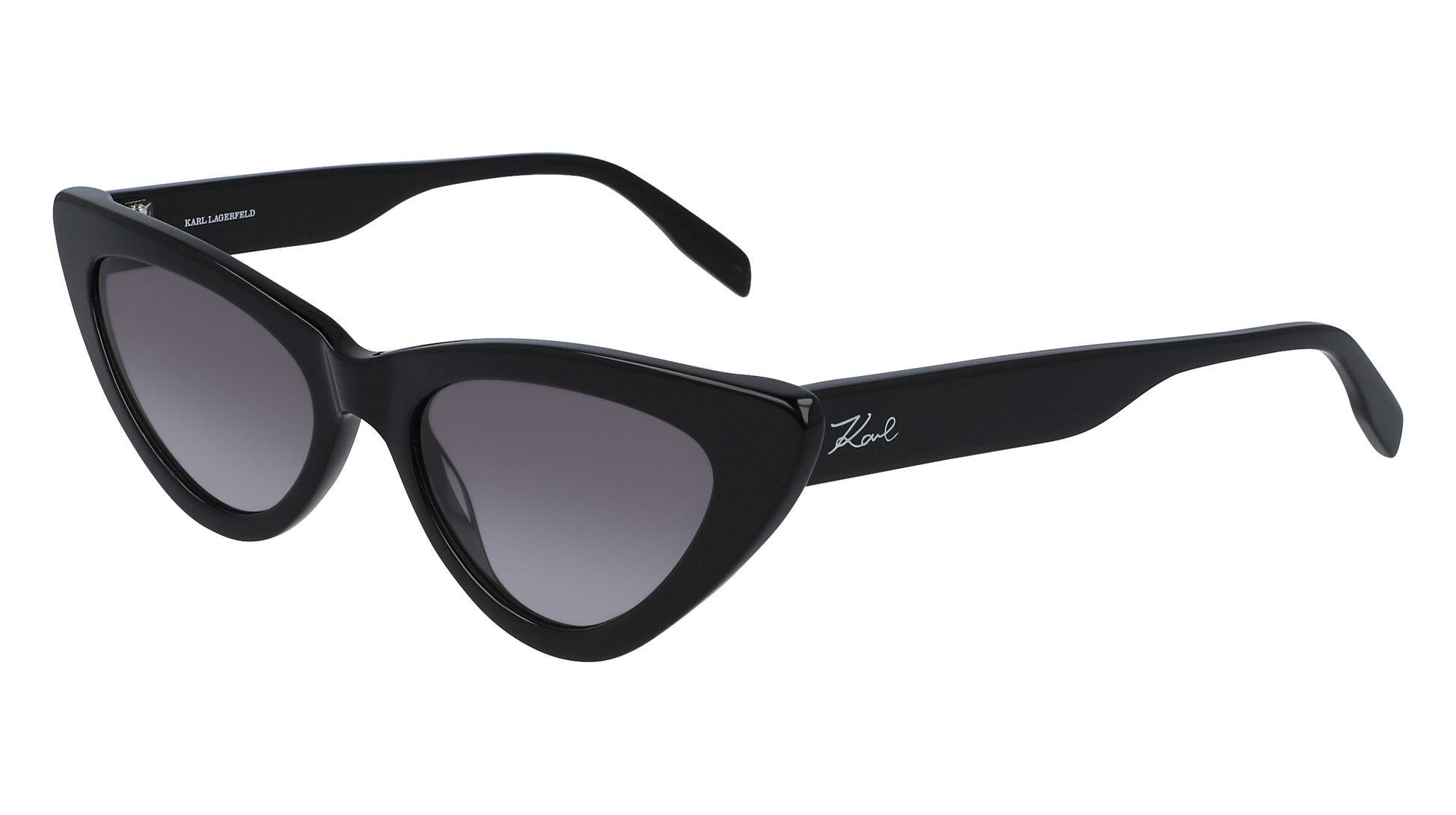 KARL LAGERFELD 41645 1 KL6005S