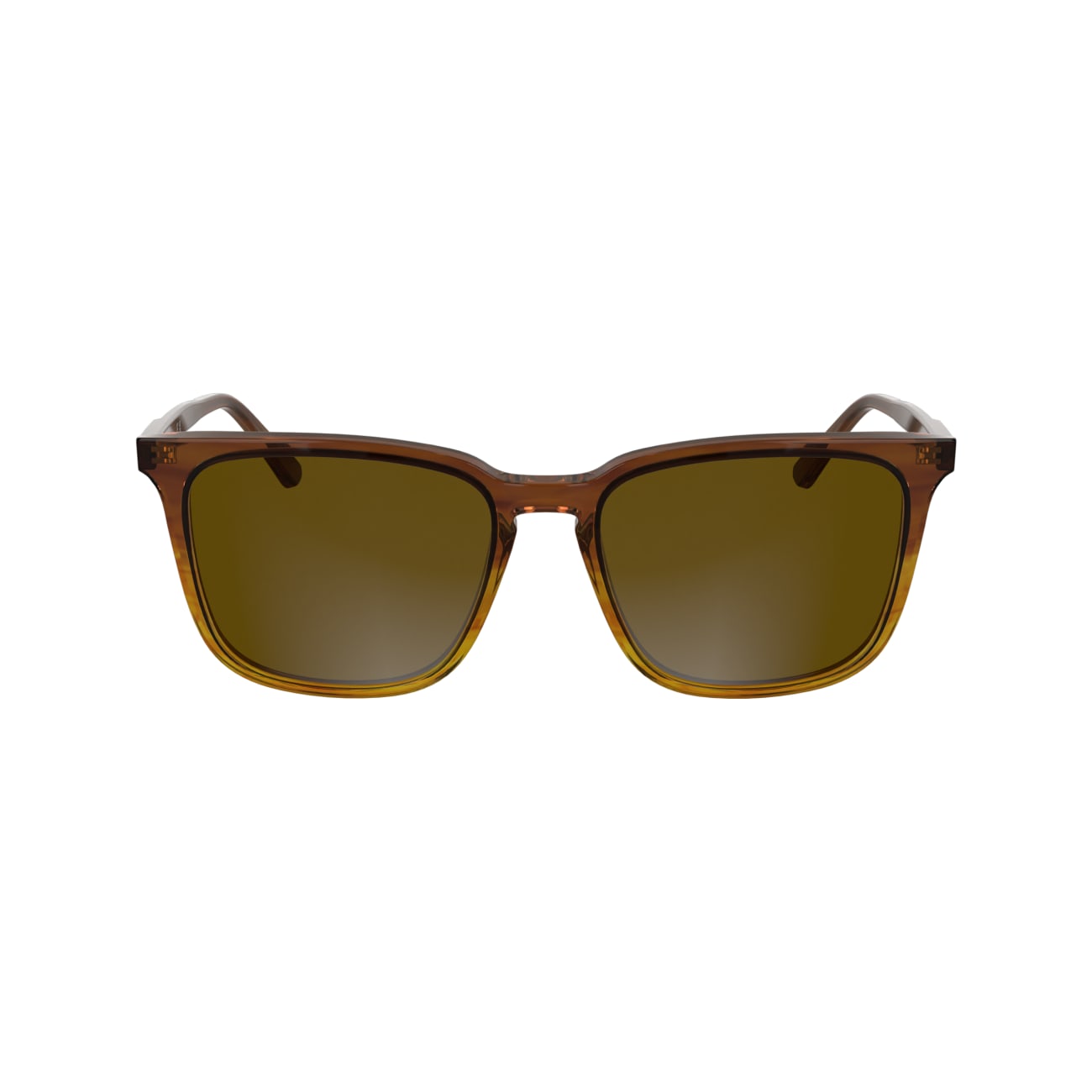 CALVIN KLEIN CK25507S 203