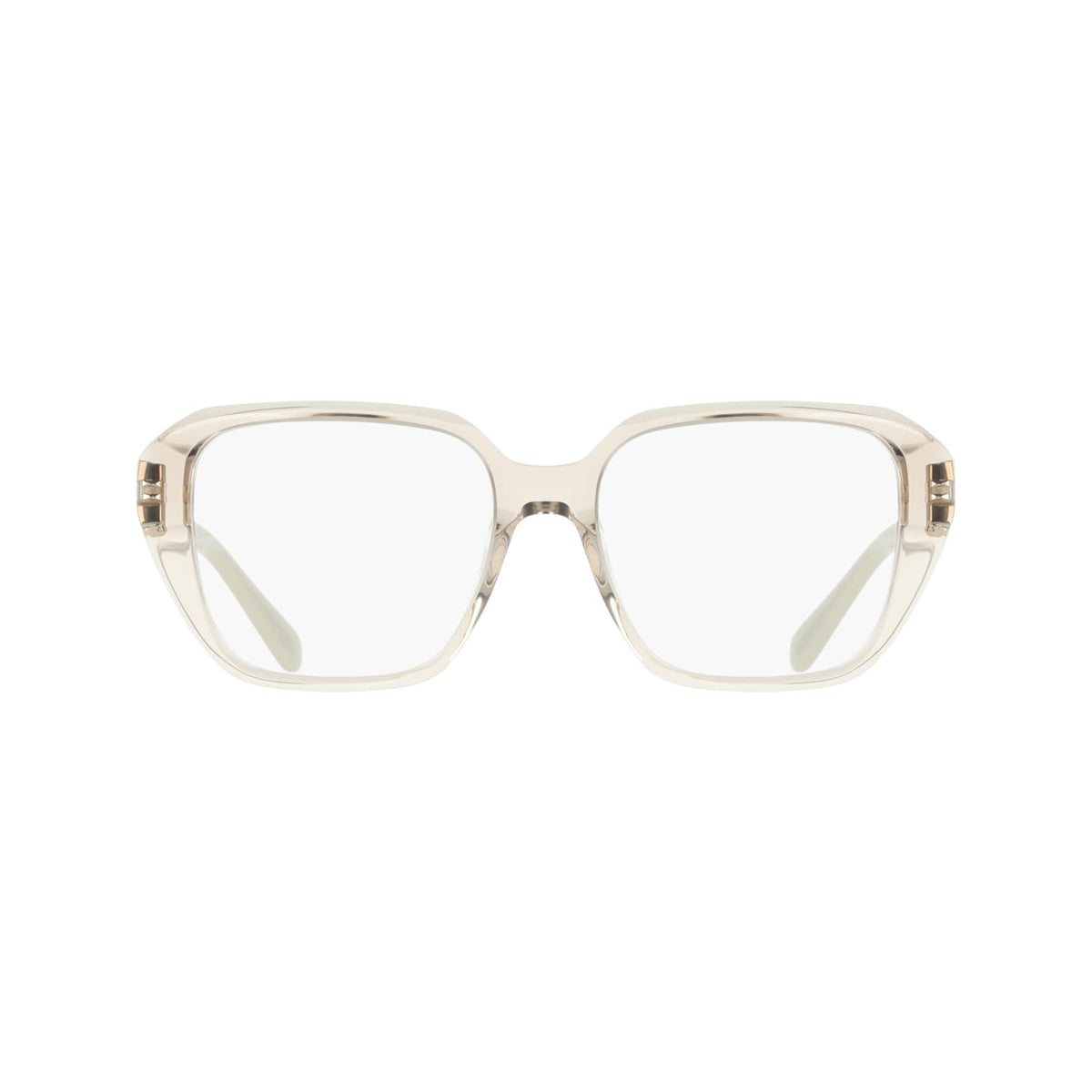 SALVATORE FERRAGAMO SF3073 260