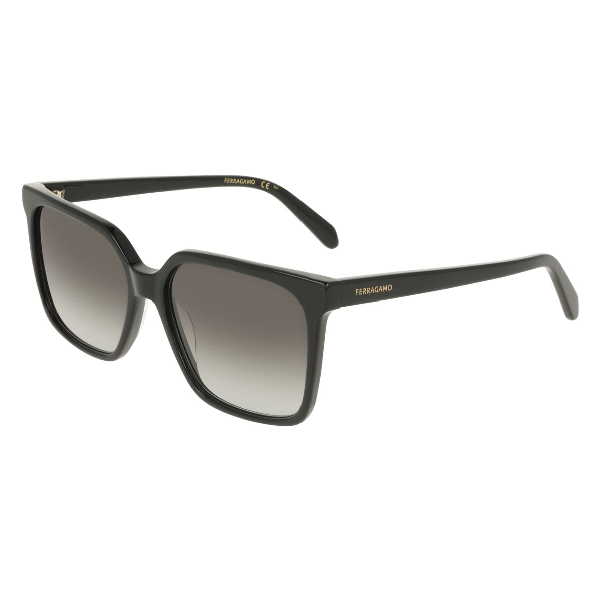 SALVATORE FERRAGAMO SF2102S 1