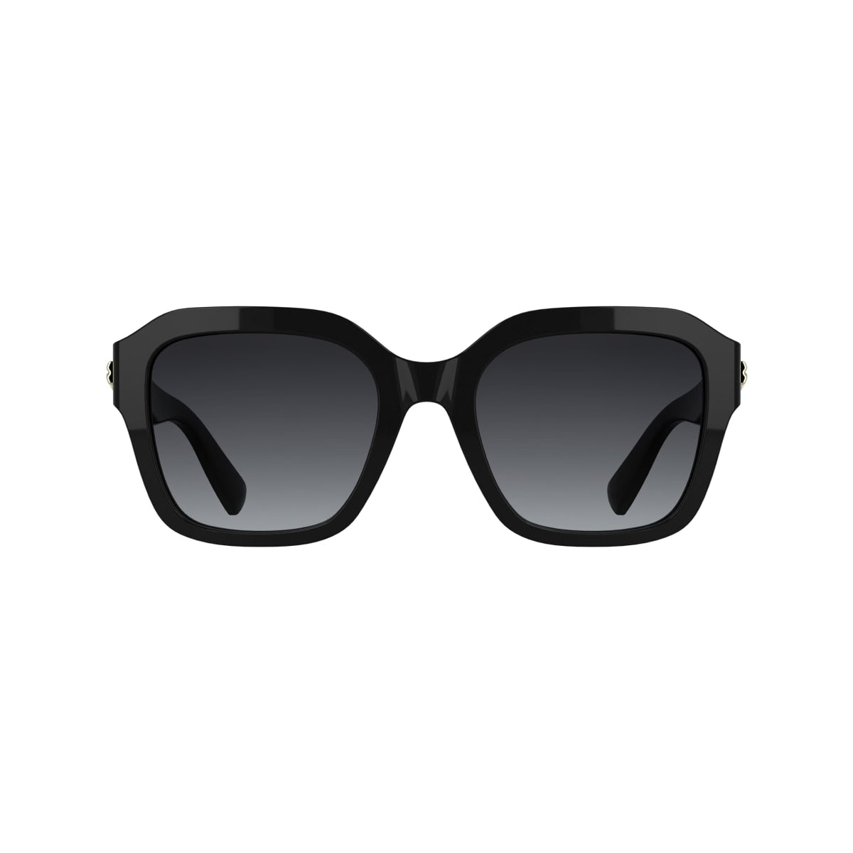 Longchamp LO816S 1
