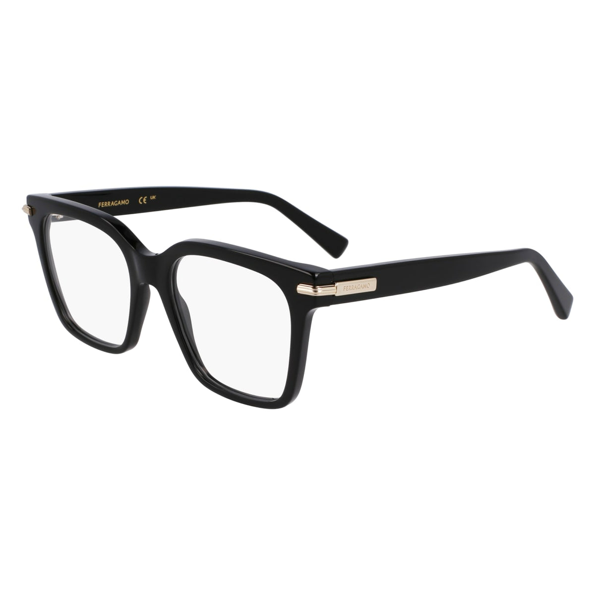 SALVATORE FERRAGAMO SF3009 1