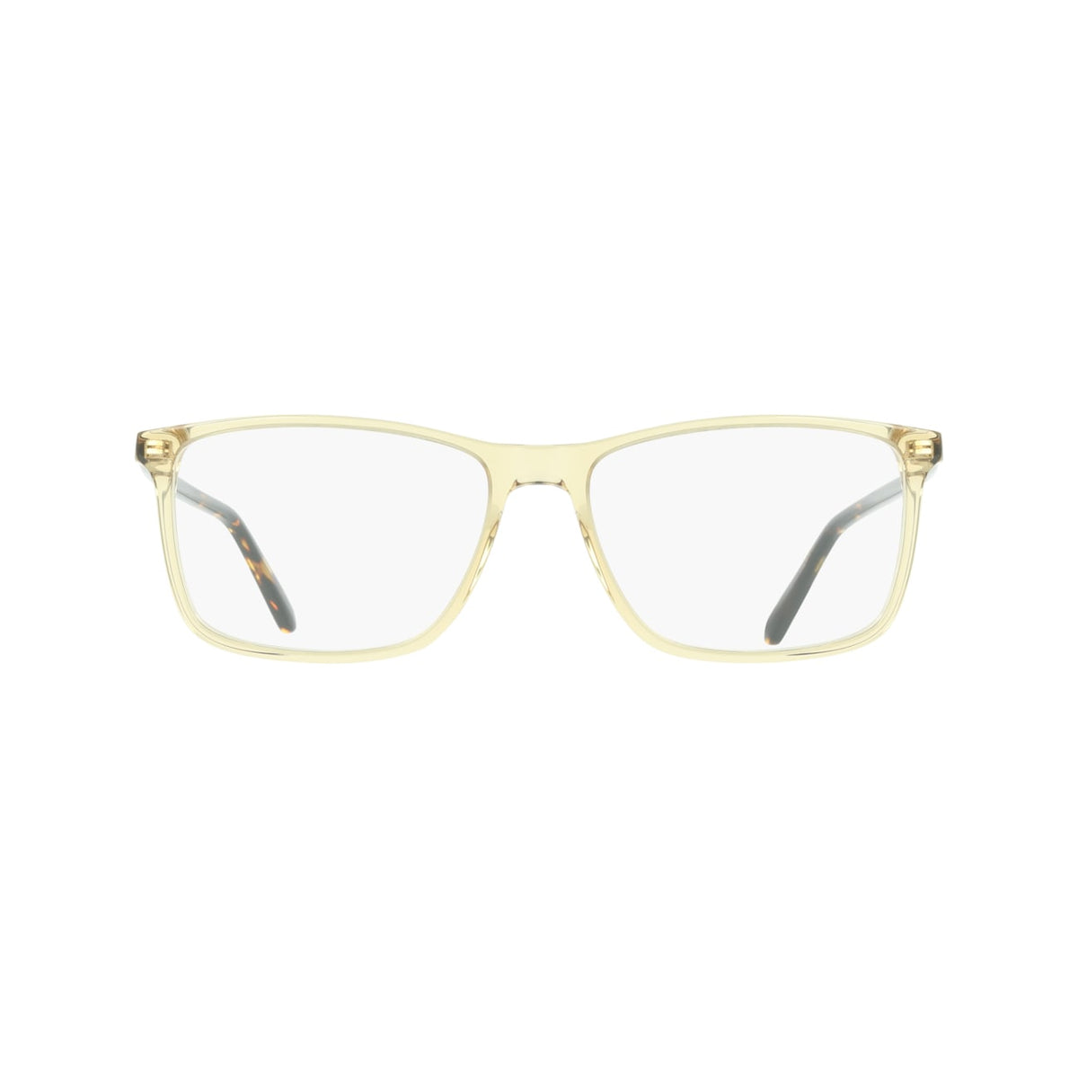 SALVATORE FERRAGAMO SF3080 259