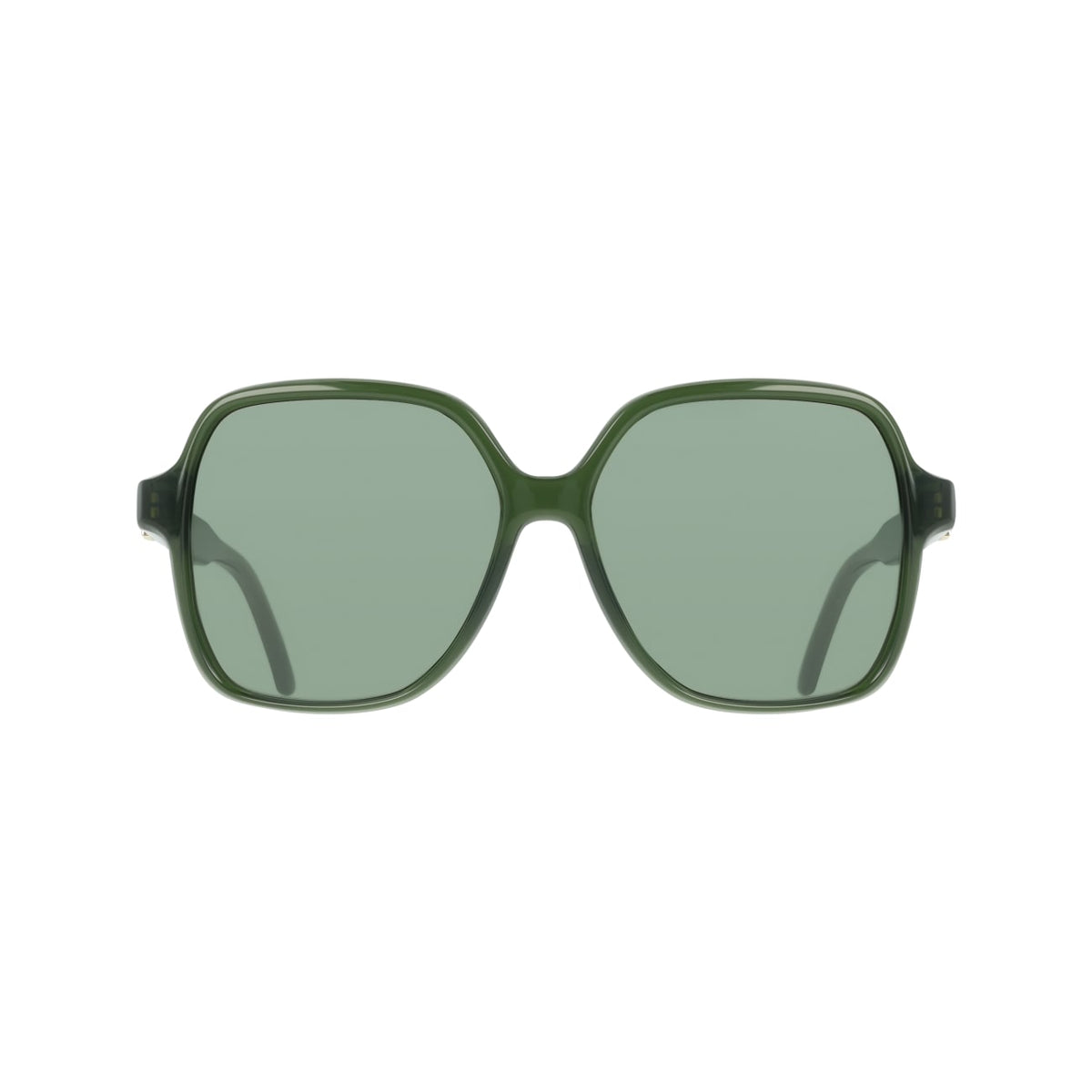 SALVATORE FERRAGAMO SF2069SE 317