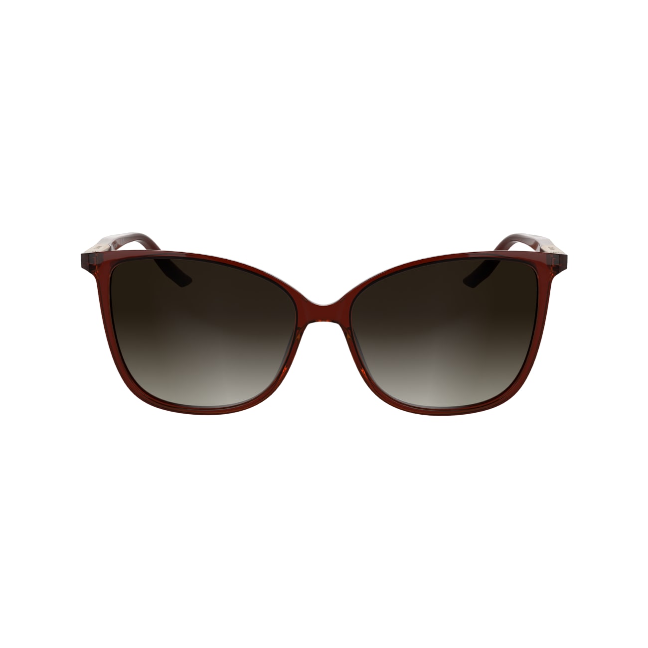 CALVIN KLEIN CK25504S 605