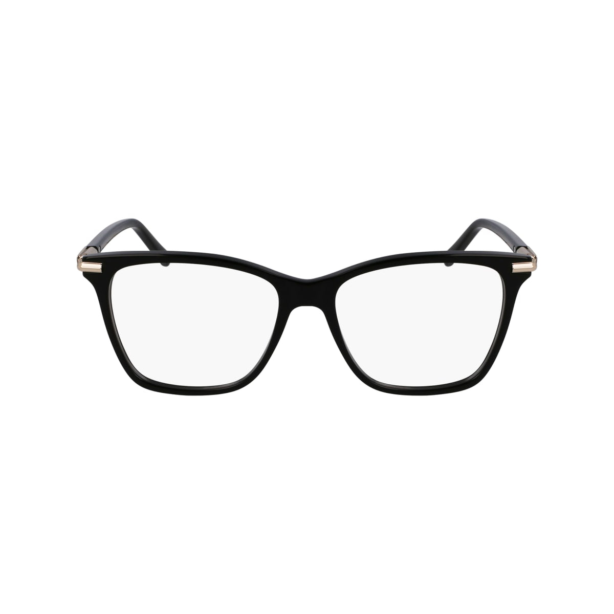 SALVATORE FERRAGAMO SF3013 1