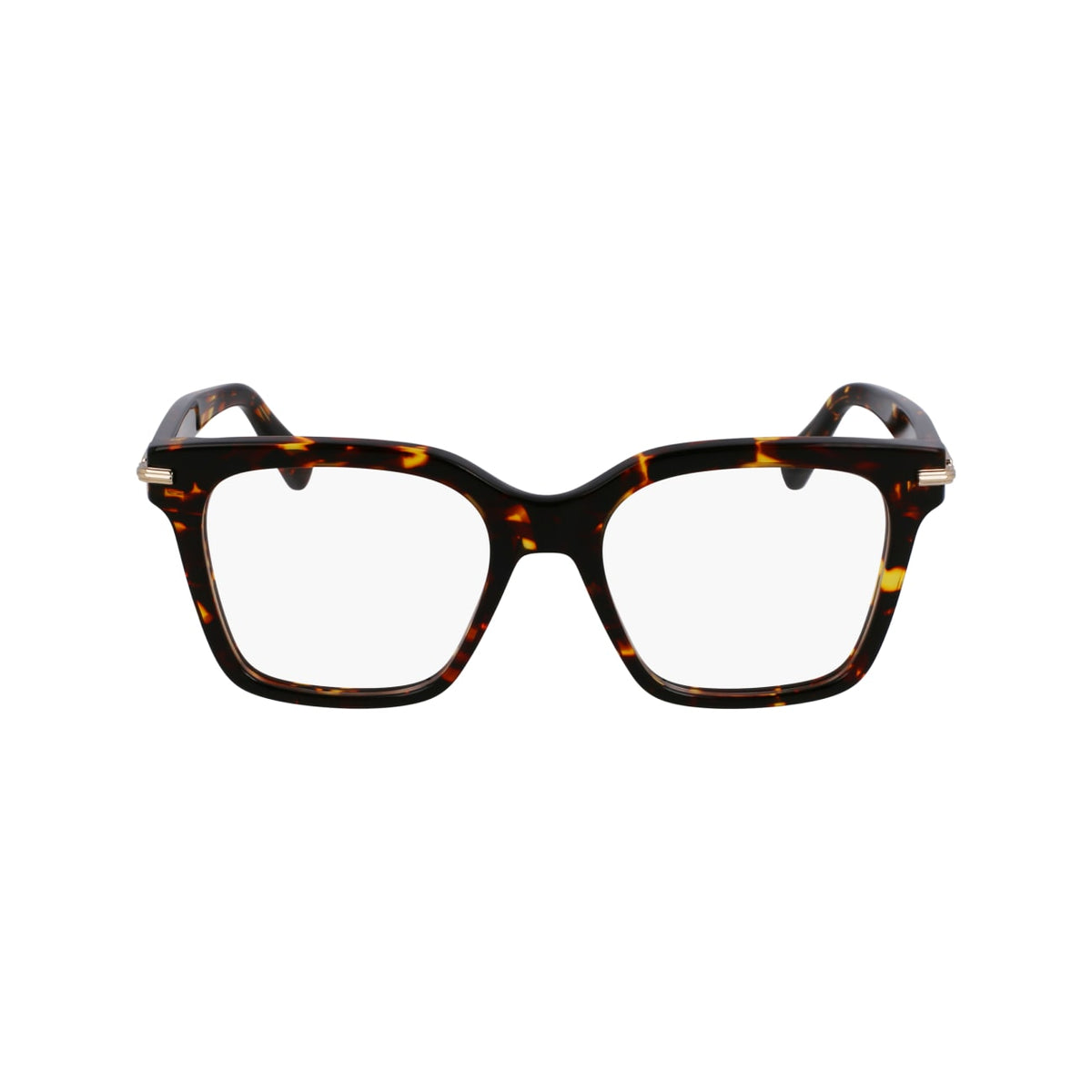 SALVATORE FERRAGAMO SF3009 242