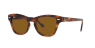RAY-BAN RB0707S 954/33