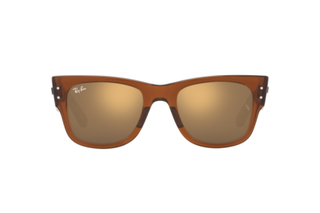RAY-BAN RB0840S 663693